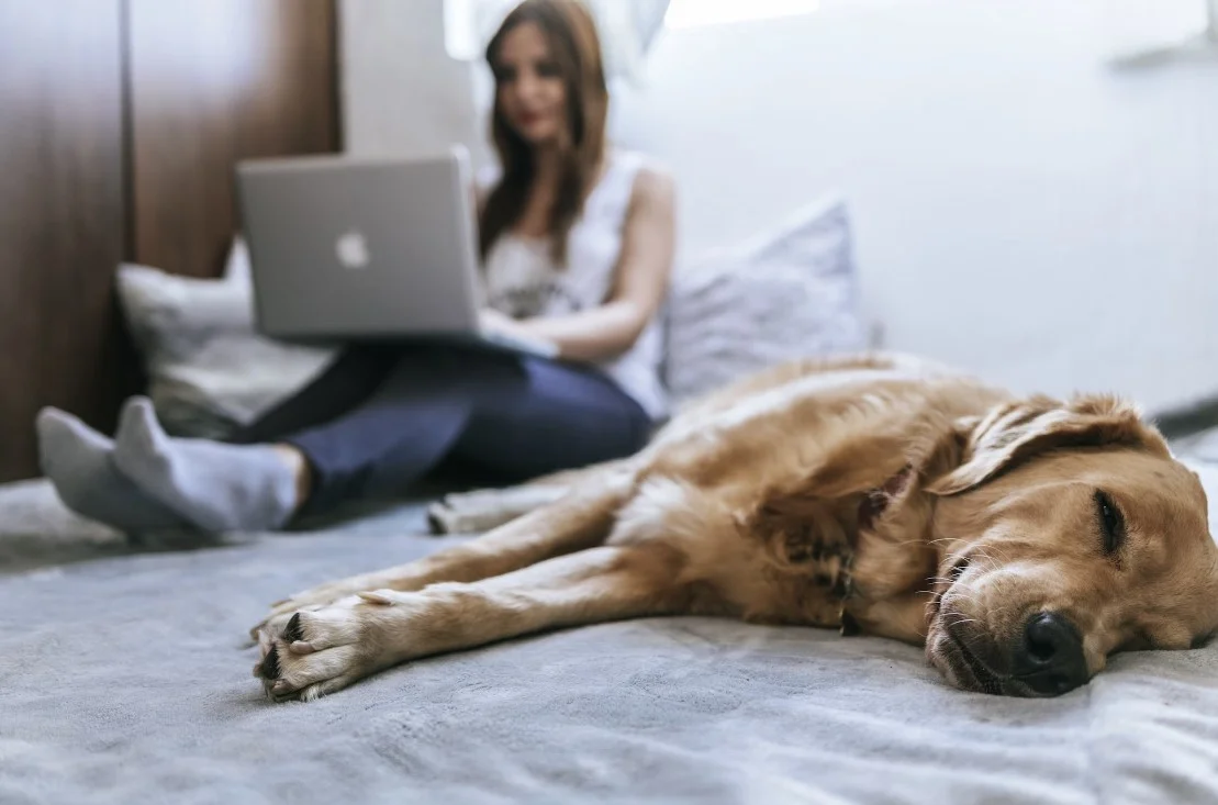 ultimate smart bed